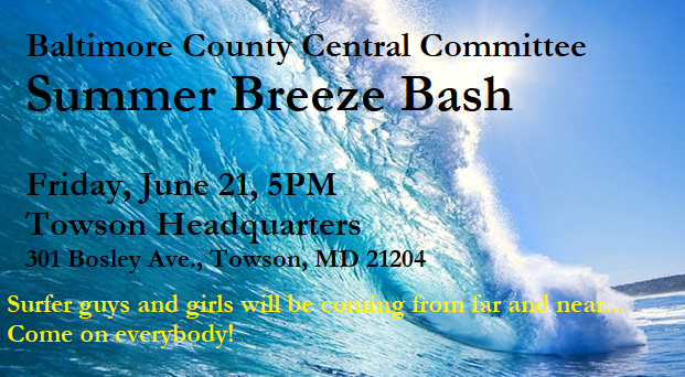 Summer Breeze
        Bash